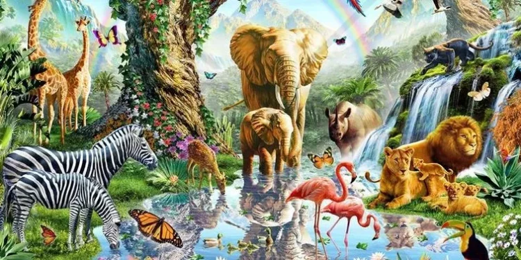 Hayvonlar dunyosidagi 15 sirli ma’lumot