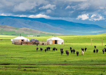 “TikTok emas tabiat!” – Mo‘g‘ulistonga borish uchun 6 sabab