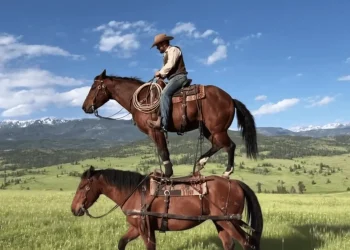 OpenAI kutilmaganda Sora’ni yopdi: mashhur video AI loyihasiga nima bo‘ldi?