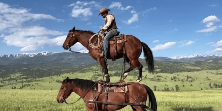 OpenAI kutilmaganda Sora’ni yopdi: mashhur video AI loyihasiga nima bo‘ldi?