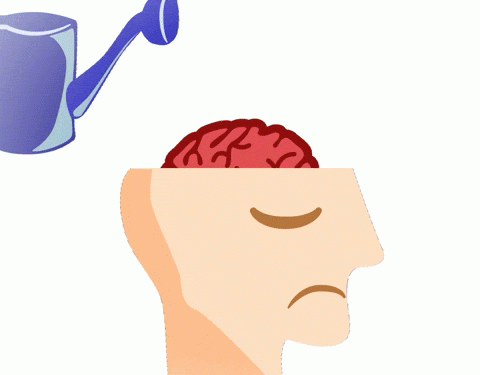 PSIXOLOGIK HAQIQATLAR— TOP 8