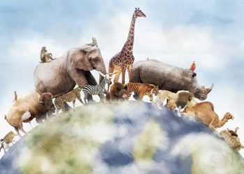 TOP 9: Eng… eng… eng…