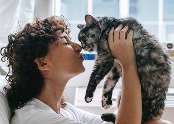 Mushuklar stressni kamaytirmaydi, aksincha kuchaytirishi mumkin — tadqiqot