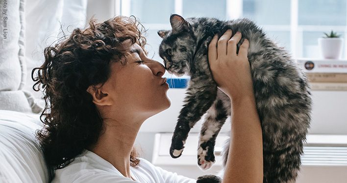 Mushuklar stressni kamaytirmaydi, aksincha kuchaytirishi mumkin — tadqiqot