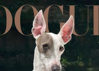 Vogue 2026-yilning eng zamonaviy itini aniqladi