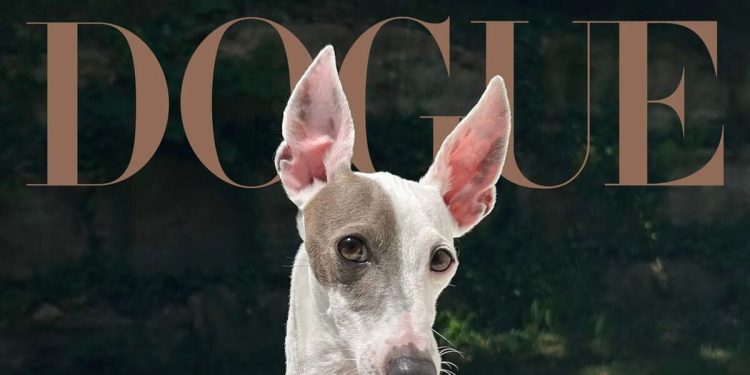 Vogue 2026-yilning eng zamonaviy itini aniqladi